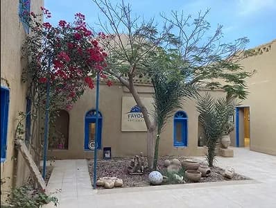 Qwell Club’s commitment to sustainability 